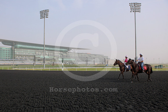 meydan_grandstand78_fs