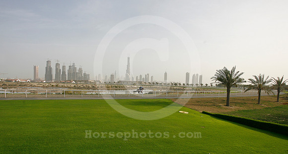 horses_alquoz03