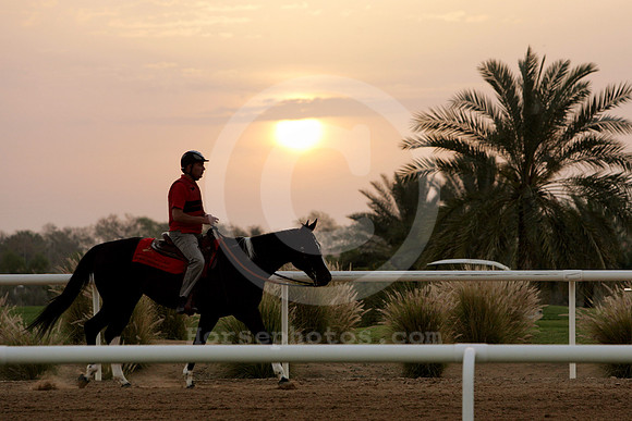nadalsheba_sunrise04_fs