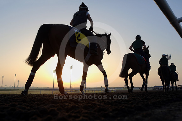 morningwork_sunrise04_fs