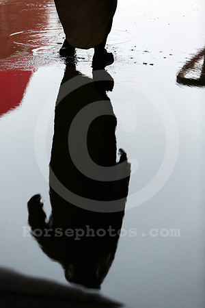 meydanpuddle02_fs
