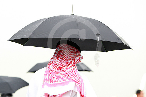 dubai_audience34_fs