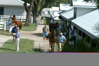 kee04_keenelandsales02_jd