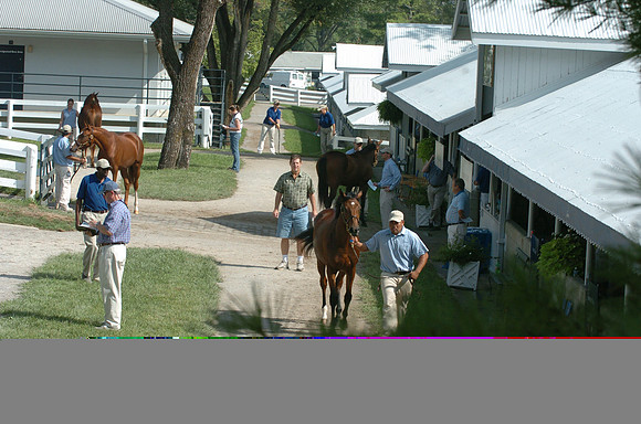 kee04_keenelandsales02_jd