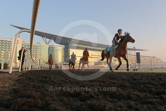 meydan_grandstand10_fs