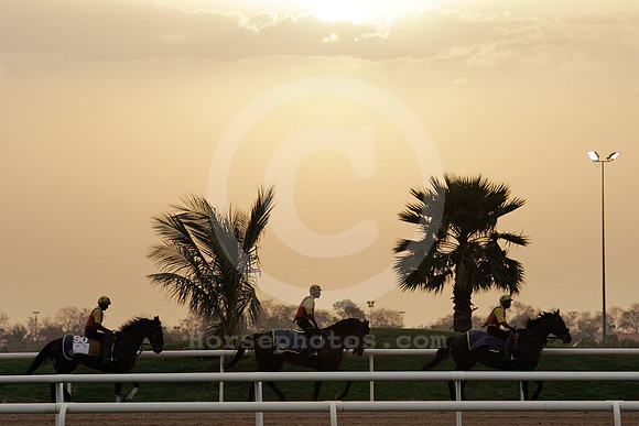 nadalsheba_sunrise05_fs