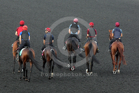 dubai_morning_workout02_fs