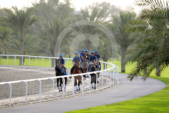 godolphin_horses36_fs