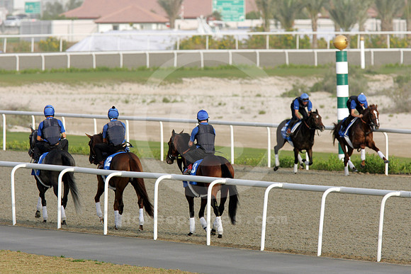godolphin78_fs