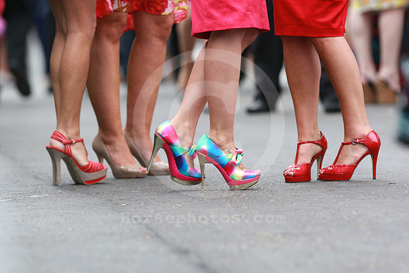 audience_epsom_legs90_fs