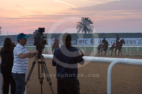 dubai_morning_trackwork46_fs