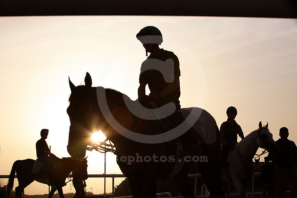 nadalsheba_sunrise10_fs
