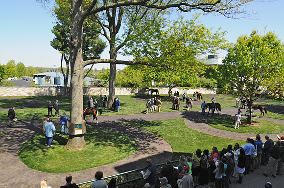 keenelandscene08_me