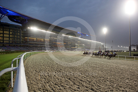meydan_grandstand56_fs