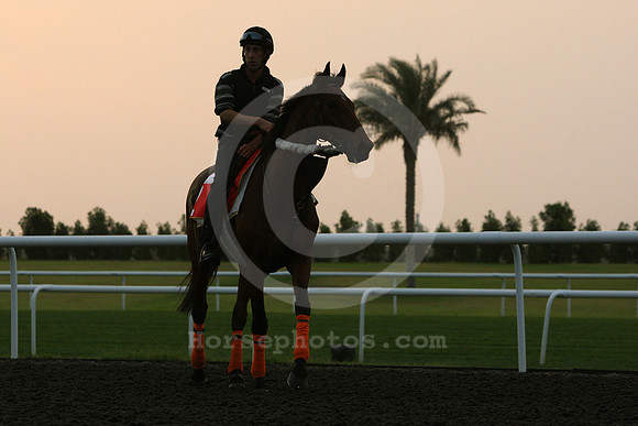 dubai_morning_trackwork08_fs