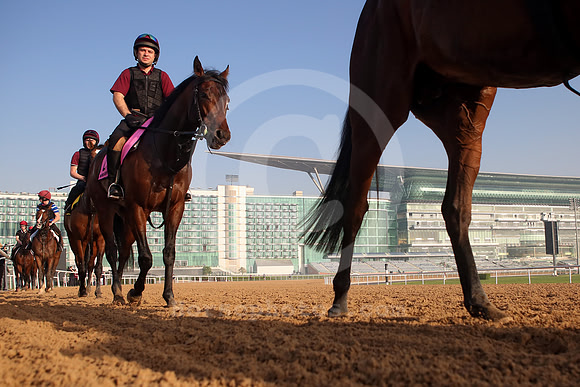 2018_DUBAI_morningworkout02_fs