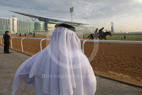 dubai_morning_trackwork36_fs