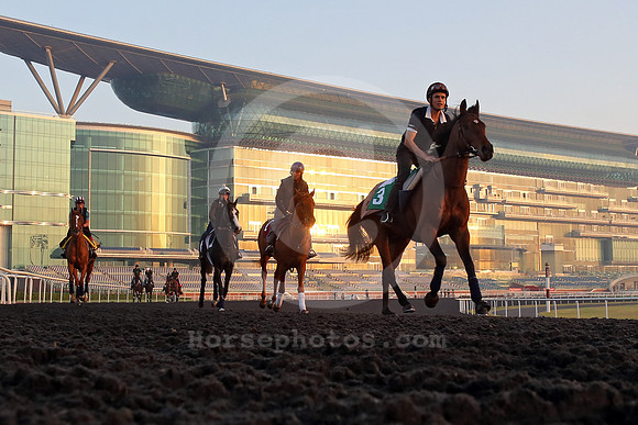 meydan_grandstand09_fs