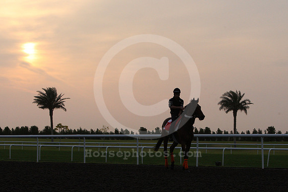 dubai_morning_trackwork07_fs