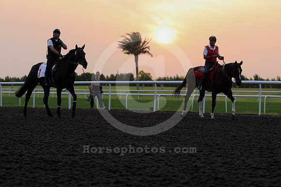 dubai_morning_trackwork05_fs