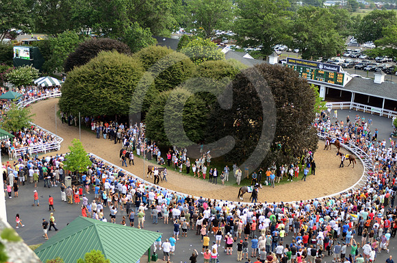 monmouthpark_paddock10_hr