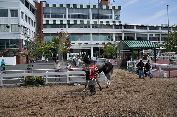 monmouthpark411_me