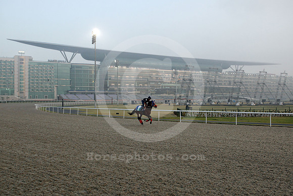 meydan_grandstand43_fs