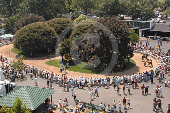monmouthpark_paddock02_rw