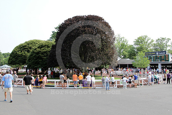 monmouthpark_racetrack16_cg