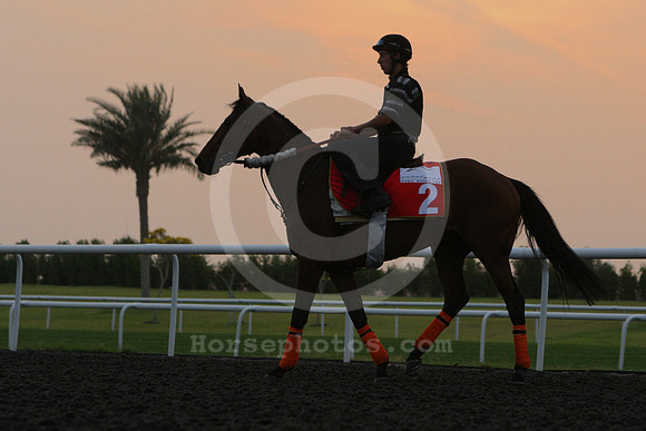 dubai_morning_trackwork11_fs