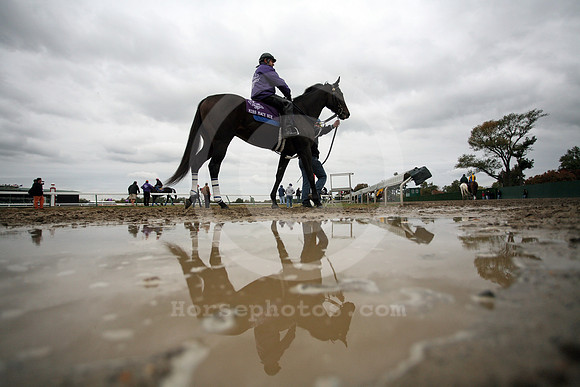 monmouth_muddyground108_fs