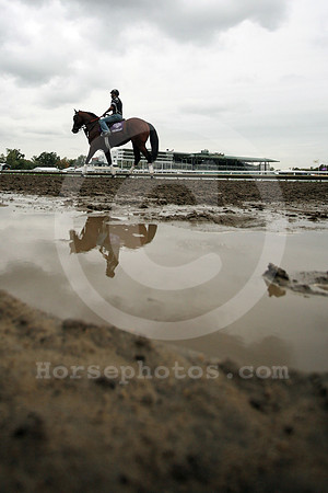 monmouth_impression132_fs