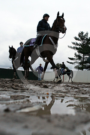 monmouth_muddyground105_fs