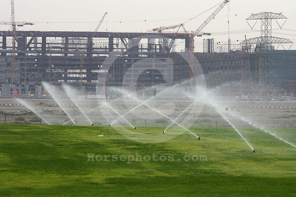 meydan_turf183_fs