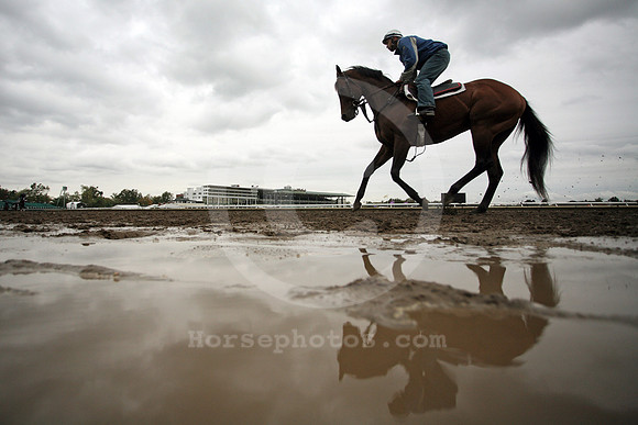 monmouth_muddyground109_fs