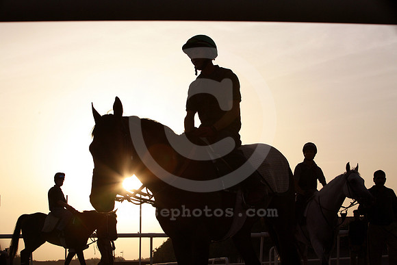nadalsheba_sunrise10_fs