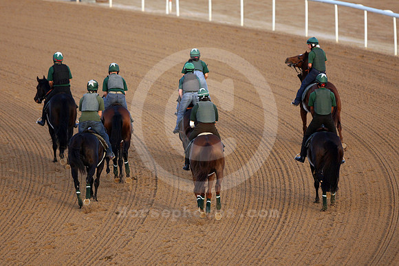 dubai_track_work04_fs