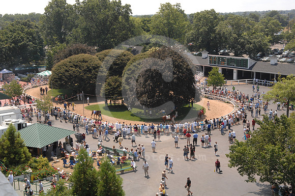 monmouthpark_paddock01_rw