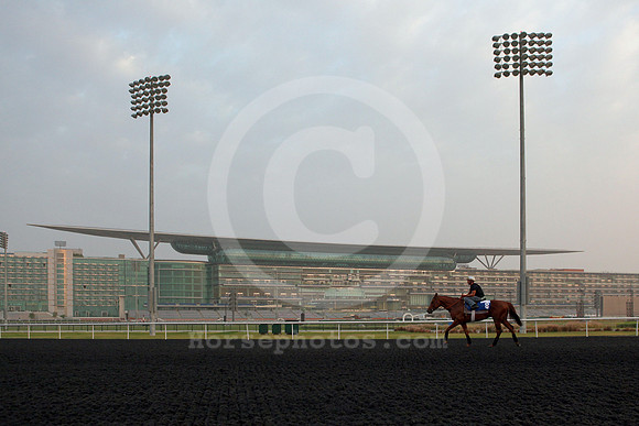 meydan_grandstand70_fs