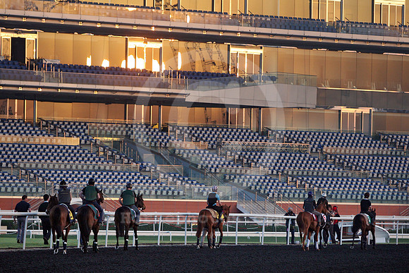 meydan_grandstand12_fs
