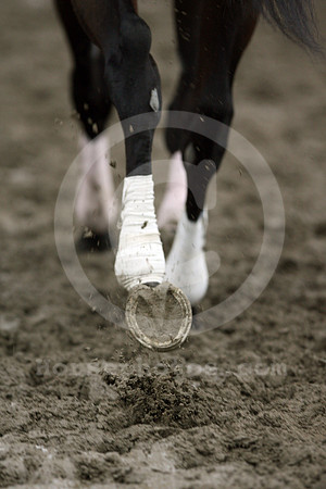 monmouth_dirt146_fs