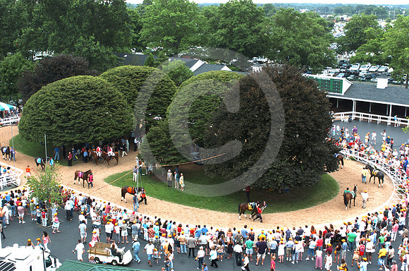 monmouthpark_paddock01_hr