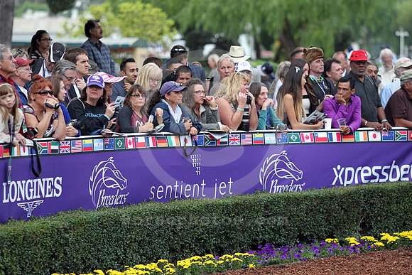 BC14CROWD06_cg