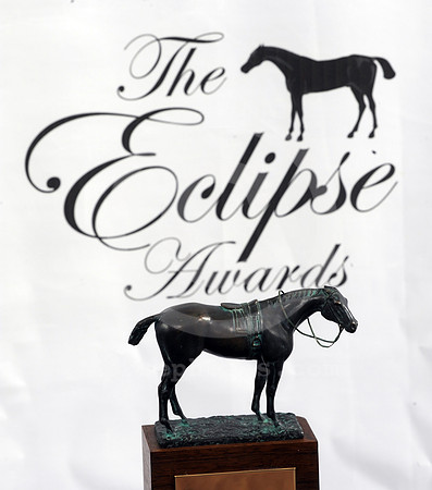 eclipse11_eclipseawardtrophy10_hr