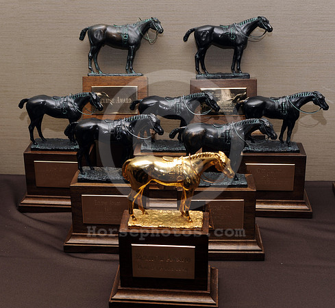 eclipse11_eclipseawardtrophy11_hr