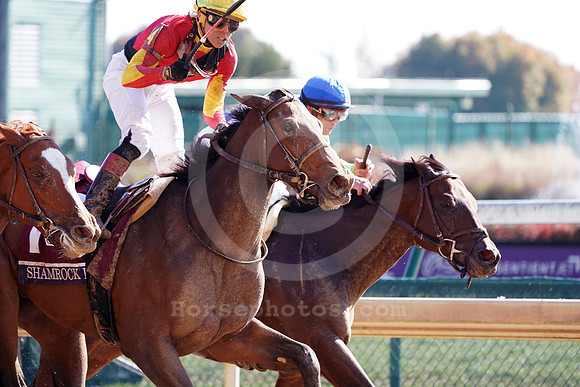 bc18fms29_cg