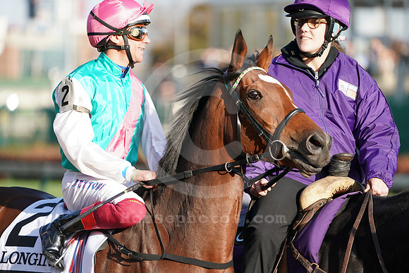 enable56_cg