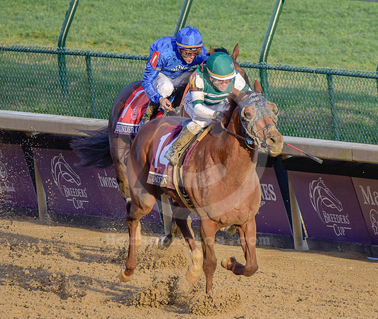bc18cl44_ko