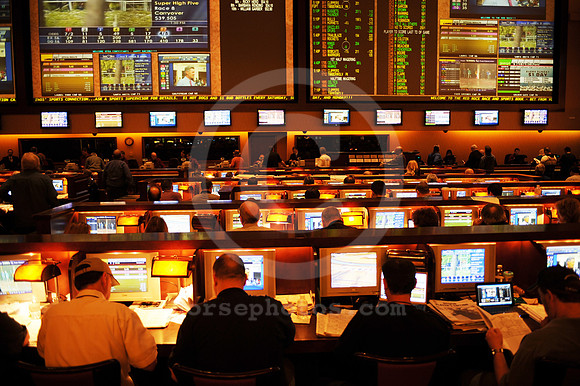 nhc_2010_sportsbook01_hr