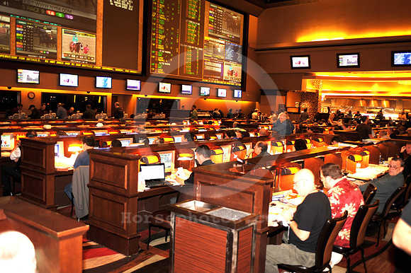 nhc_2010_sportsbook02_hr